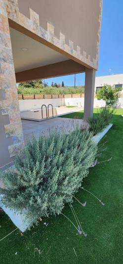 Image No.17-3 Bed Villa for sale