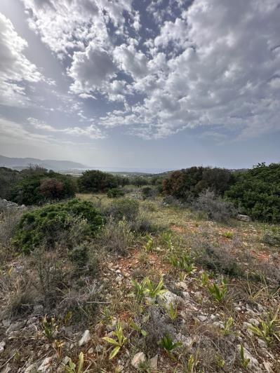 Image No.10-Plot for sale