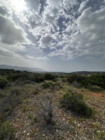 Image No.11-Plot for sale