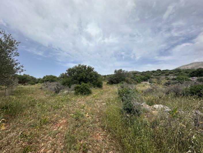 Image No.13-Plot for sale