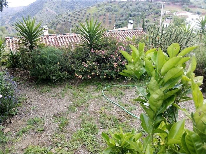 Image No.12-4 Bed Country House for sale