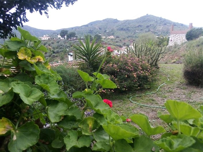 Image No.13-4 Bed Country House for sale