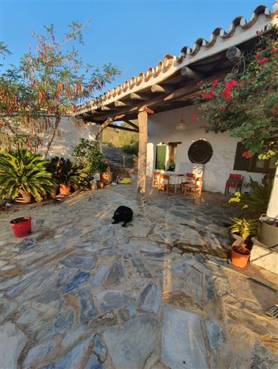 Image No.6-4 Bed Country House for sale