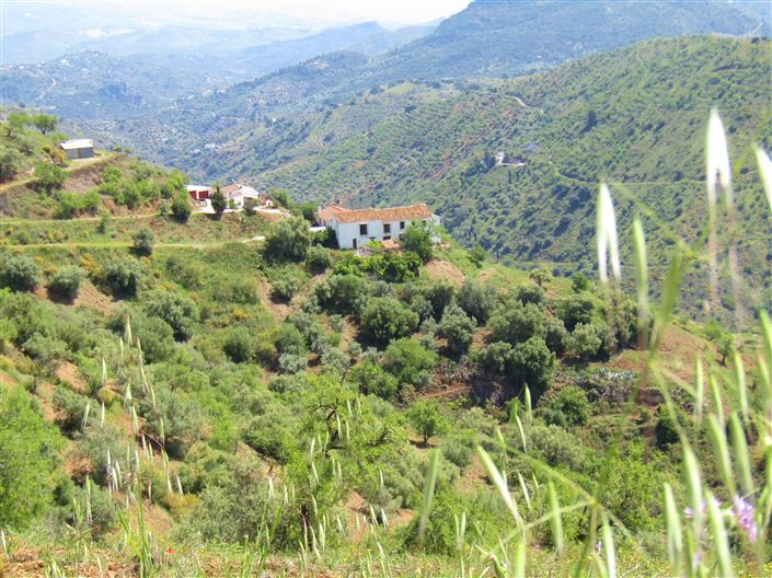 Image No.32-5 Bed Cortijo for sale