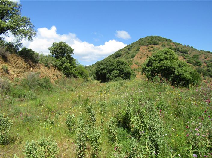 Image No.33-5 Bed Cortijo for sale