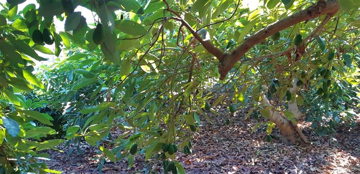 Image No.12-3 Bed Farmhouse for sale