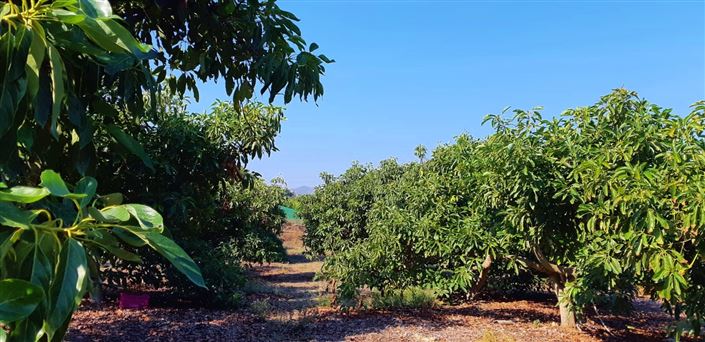 Image No.18-3 Bed Farmhouse for sale