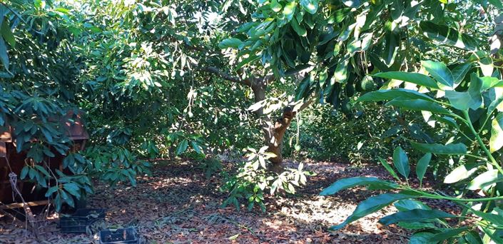 Image No.3-3 Bed Farmhouse for sale