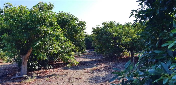 Image No.5-3 Bed Farmhouse for sale