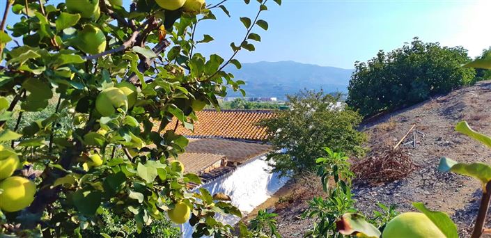 Image No.6-3 Bed Farmhouse for sale