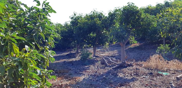 Image No.7-3 Bed Farmhouse for sale