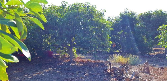 Image No.9-3 Bed Farmhouse for sale