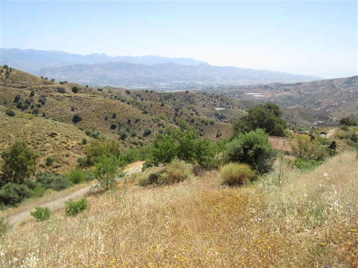 Image No.23-3 Bed Country House for sale