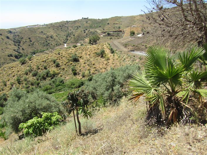 Image No.25-3 Bed Country House for sale