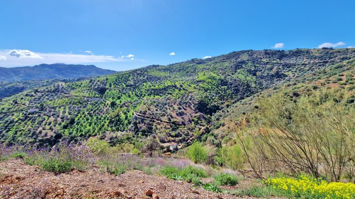 Image No.36-4 Bed Country House for sale