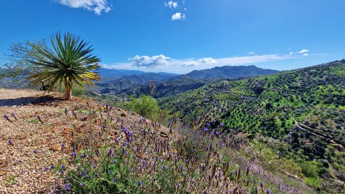 Image No.6-4 Bed Country House for sale