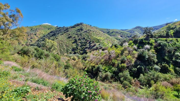 Image No.34-5 Bed Apartment for sale