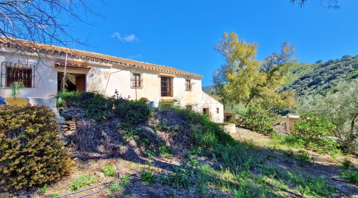 Image No.4-5 Bed Apartment for sale