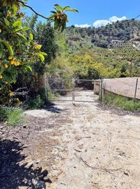 h9a414xbodqimg-20240412-wa0000