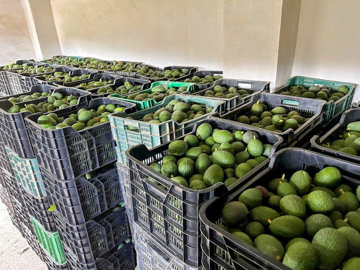 hjyj85bfftimg-20240415-wa0005-edit