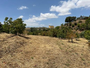 i0dx8q2kkj9whatsapp20image202024-05-2820at201