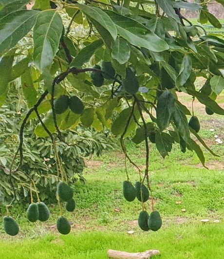 Image No.2-2 Bed Country House for sale