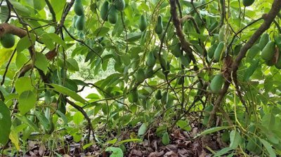 fyrdtfdhwv20221216123212