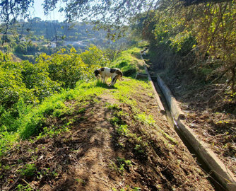 8hicz7xkx4k20230320093512