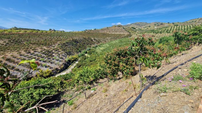 Image No.34-5 Bed Country House for sale