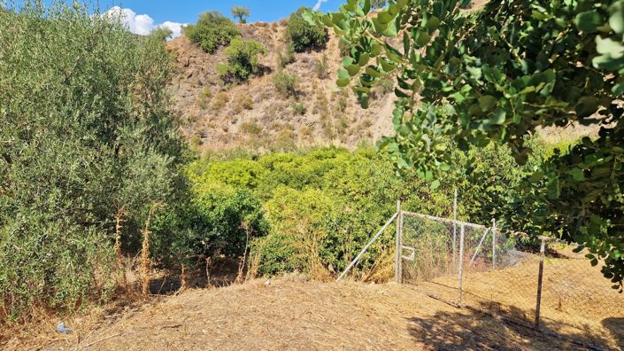 Image No.31-4 Bed Country House for sale