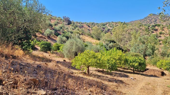 Image No.34-4 Bed Country House for sale