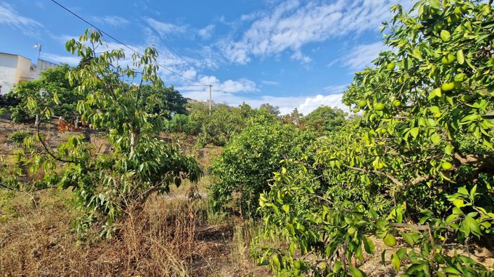 Image No.34-2 Bed Country House for sale