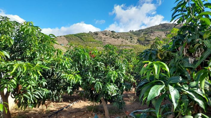 Image No.2-Land for sale