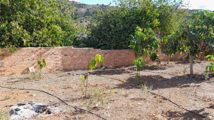 Image No.6-Land for sale