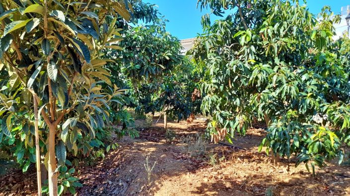 Image No.8-Land for sale