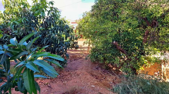 Image No.9-Land for sale