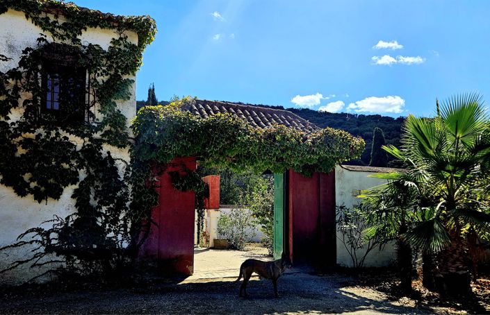 Image No.13-4 Bed Country House for sale