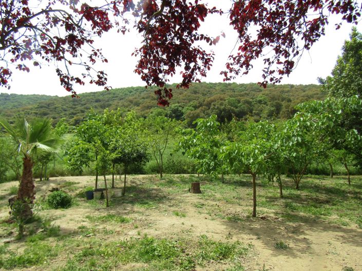 Image No.15-4 Bed Country House for sale