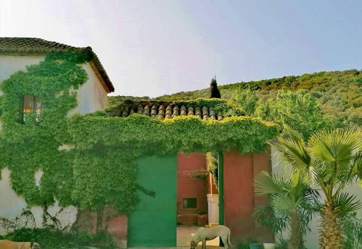 Image No.2-4 Bed Country House for sale