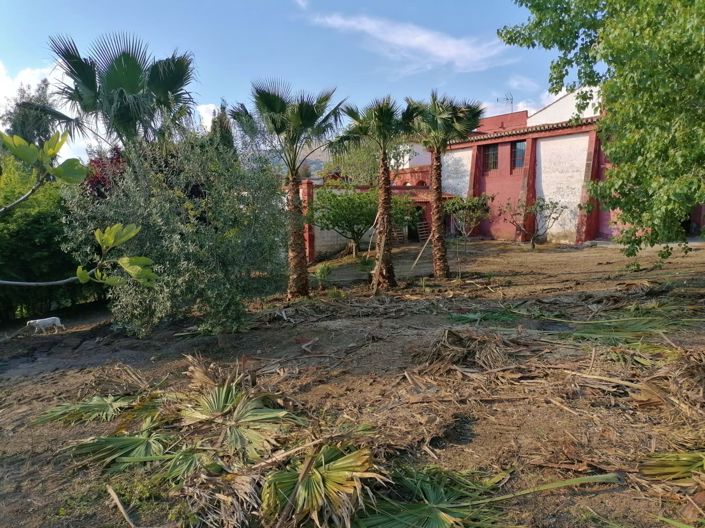 Image No.28-4 Bed Country House for sale