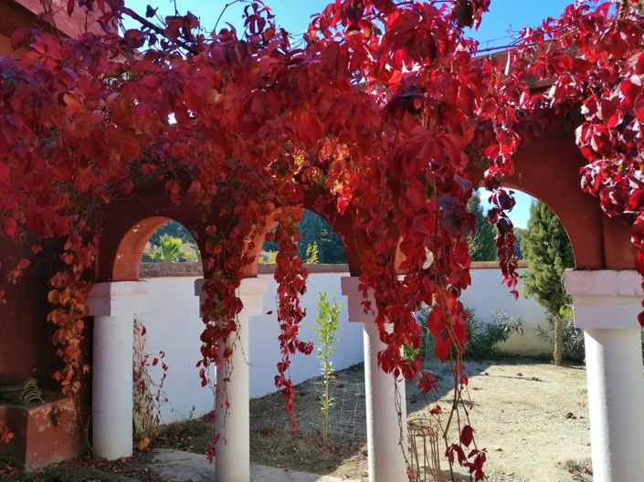 Image No.4-4 Bed Country House for sale