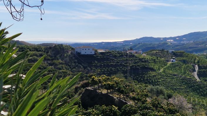 Image No.10-3 Bed Country House for sale