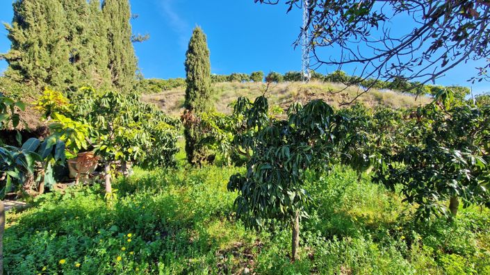 Image No.6-3 Bed Country House for sale