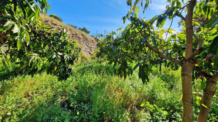 Image No.9-3 Bed Country House for sale