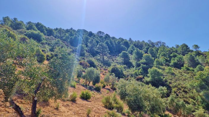 Image No.19-2 Bed Country House for sale