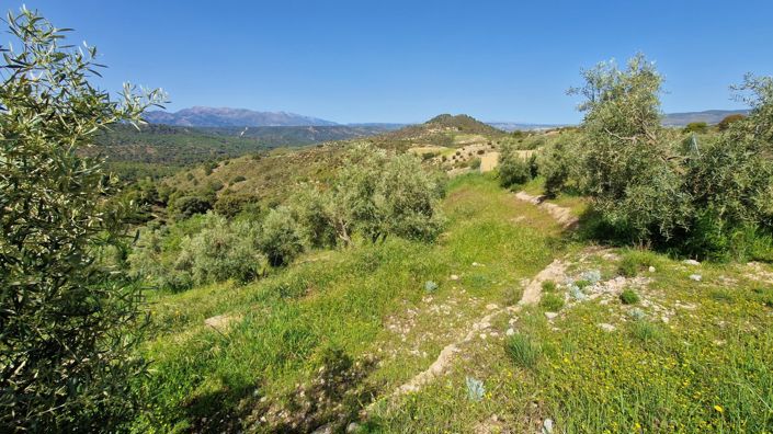 Image No.21-2 Bed Country House for sale