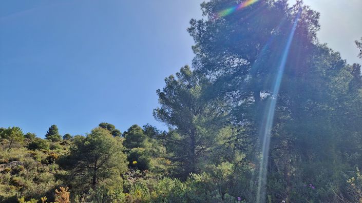 Image No.22-2 Bed Country House for sale