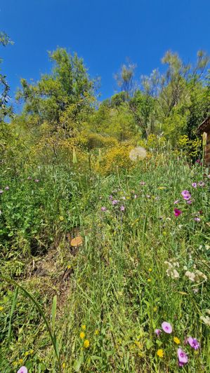 Image No.40-3 Bed Country House for sale