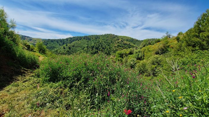 Image No.45-3 Bed Country House for sale