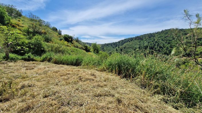 Image No.46-3 Bed Country House for sale